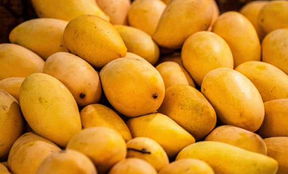 MANGO SEASON